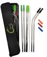 Stainless Steel Reusable Straw set with Silicon